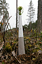 MultiPro. Foto: Claes Hellqvist, SLU, Inst för ekologi